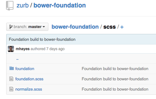 Bower Foundation Repo Scss