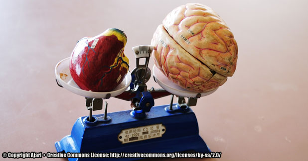 The Feeling of Passion in Web Development